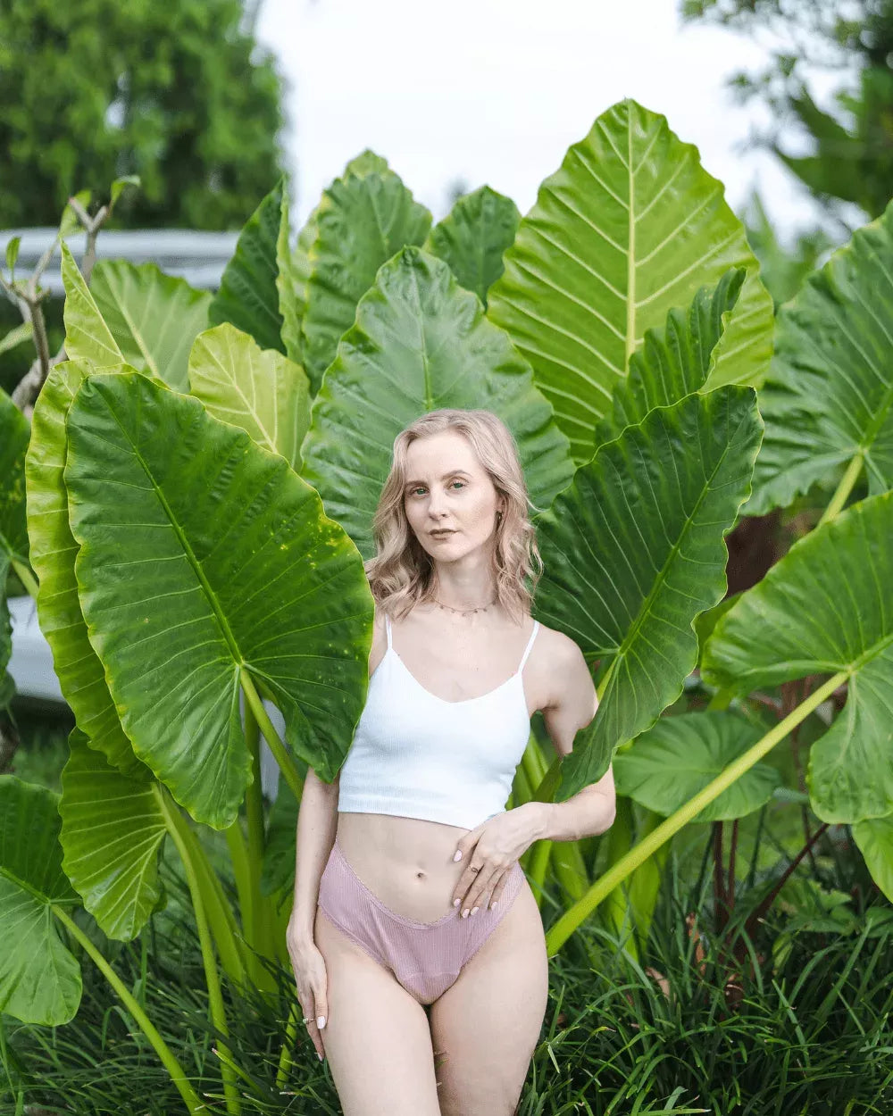 Lenette | V-shape | Blossom Pink